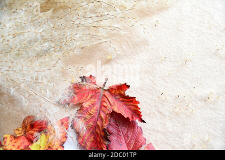 Selective focus of red autumnal leaves next to bouquet of Miscanthus sinensis (Chinese silver grass) with seeds on beige fabric background. copy space Stock Photo