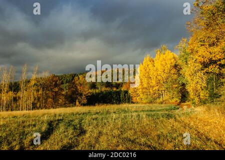 Fall countryside before the rain. Storm clouds, dark sky and colorful autumn trees. Beautiful scenery with golden sunlight.Fall colors and weather. Stock Photo
