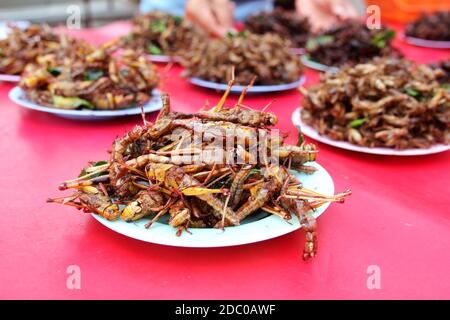 close up fried grasshopper or belalang goreng is traditional food from southeast asia Stock Photo