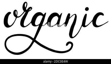 Handwritten lettering Organic 100 isolated on white. Vector ...