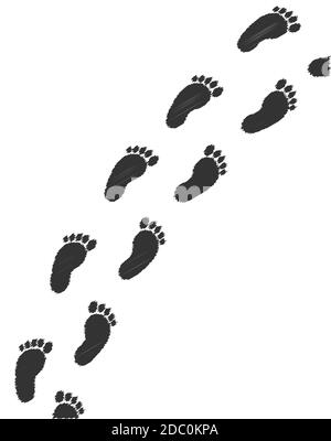 A set of childs dirty footprints walking accross the page on a white background Stock Photo