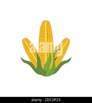 Corn farm logo design Stock Vector Image & Art - Alamy
