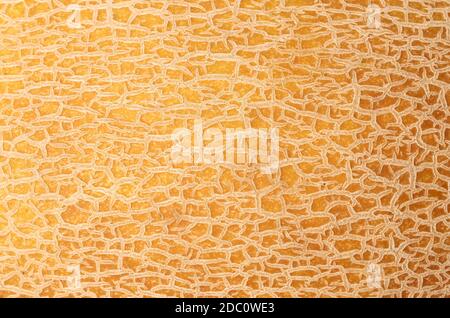 yellow ripe melon texture, full frame, close up Stock Photo