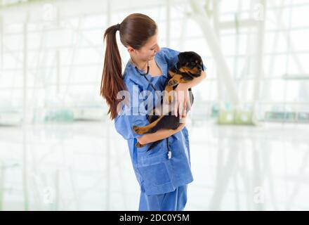 Brunette veterinary with a rottweiler puppy dog Stock Photo