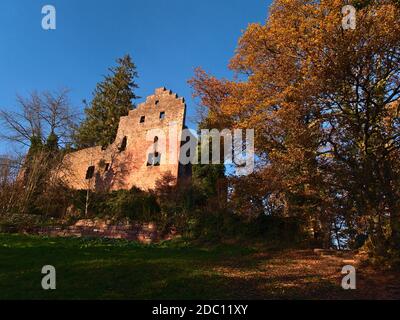 Beautiful view of old ruined castle Burg Zavelstein located in Bad Teinach-Zavelstein, Black Forest, Germany with stone wall, foliage, colorful trees. Stock Photo