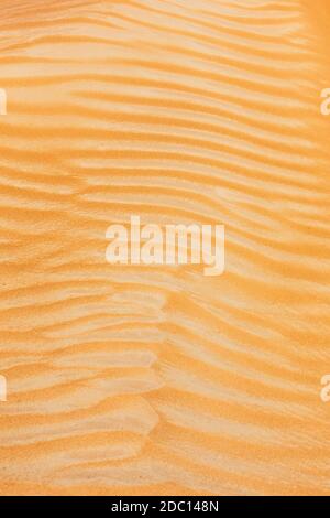 Sand dune texture close-up view, with wave pattern formed by the wind, Dubai, United Arab Emirates, portrait view. Stock Photo