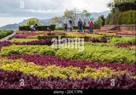 Funchal, Madeira, Portugal - April 23, 2018: Tropical Botanical Garden in Funchal on Madeira island, Portugal Stock Photo