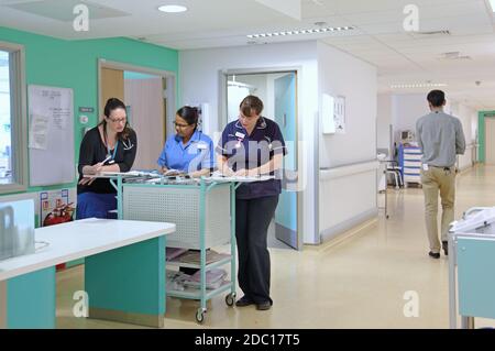 Modern UK hospital ward - nurses station. Two nurses discuss patient documents with a female doctor. Male doctor walking past. Stock Photo