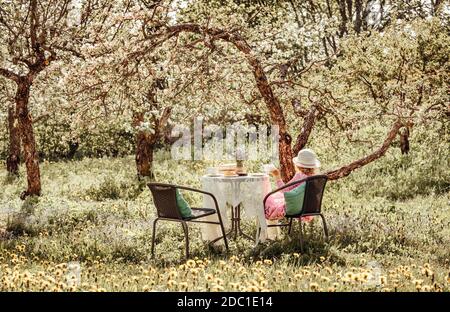 6 year old girl in pink summer dress sit on garden chair by garden table, under blooming apple trees on sunny spring day. Modern warm orange photo. Stock Photo