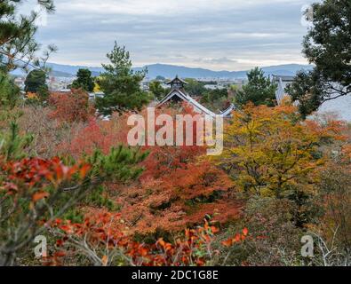 Stunning view of Tenryuji temple with  autumn colored leaves in Arashiyama, Kyoto, Japan Stock Photo