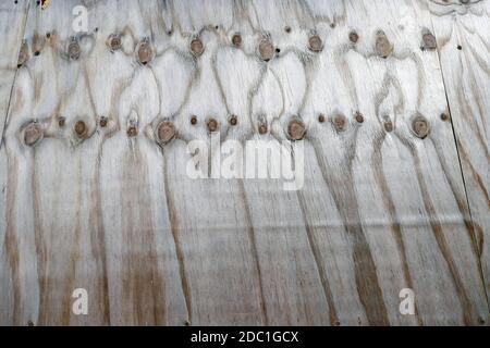 Wood veneer Stock Photo