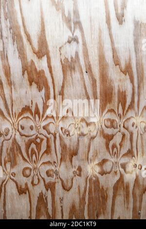 Wood veneer Stock Photo