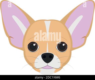 Chihuahua dog isolated on white background vector illustration Stock Vector