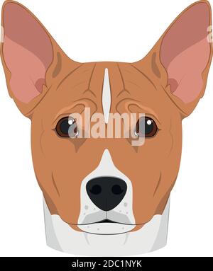 Basenji dog isolated on white background vector illustration Stock Vector