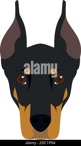 Doberman dog isolated on white background vector illustration Stock Vector