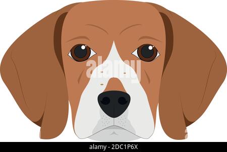 Beagle dog isolated on white background vector illustration Stock Vector