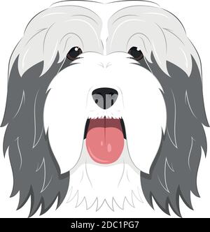 Bearded Collie dog isolated on white background vector illustration Stock Vector