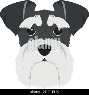 Schnauzer dog isolated on white background vector illustration Stock Vector