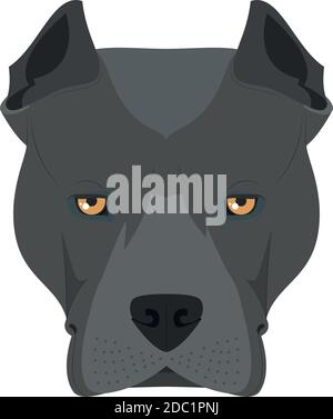 American Staffordshire Terrier dog isolated on white background vector illustration Stock Vector