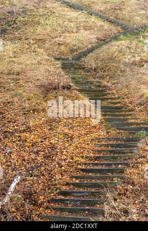 Beautiful way up on the stone stairs with plenty fallen autumn leaves on them. Colourful autumns landscape photography. Stock Photo