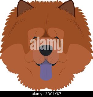 Chow Chow dog isolated on white background vector illustration Stock Vector