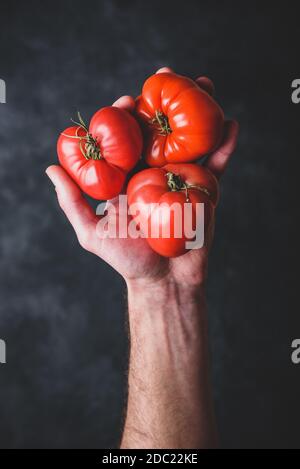 Hand holding fresh red tomatoes. View from above Stock Photo