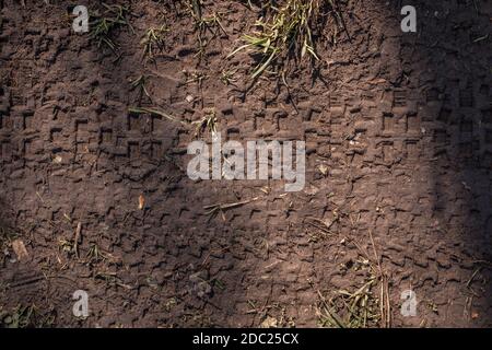 Tire tracks of mountain bikes on the muddy ground Stock Photo