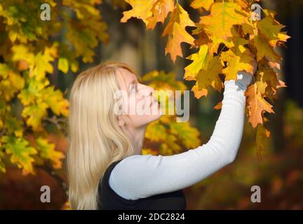 Blonde girl in the autumn park admiring branch autumn leaves of oak Stock Photo