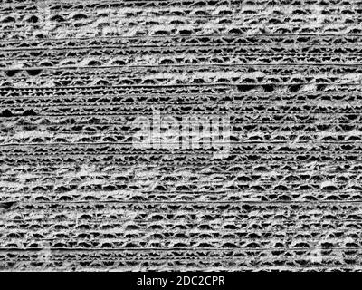 off white light grey corrugated cardboard texture useful as a background Stock Photo