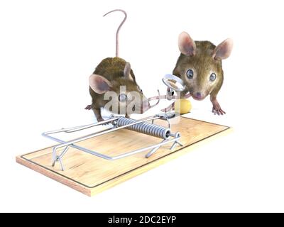 https://l450v.alamy.com/450v/2dc2eyp/3d-rendering-of-two-cute-mice-looking-at-a-piece-of-cheese-in-a-mouse-trap-one-of-them-is-holding-a-magnifying-glass-white-background-2dc2eyp.jpg