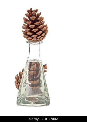 Pine cones still life, pedestal, isolated on white background. Stock Photo
