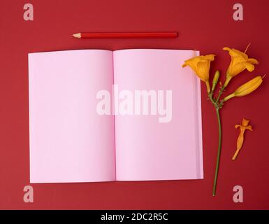 open notebook with empty pink sheets and yellow flower on a red background, flat lay Stock Photo