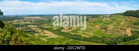 Panoramic view on green vineyards of Jura region, Franche Comte, France in summer Stock Photo