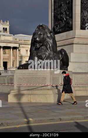 A man wearing a protective face mask walks past a lion statue on Trafalgar Square during the second national lockdown in England. Stock Photo