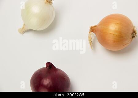 Three beautiful onions red, gold and white are on the table Stock Photo