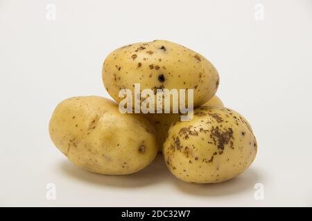 Several beautiful raw ripe washed yellow potatoes in the peel on a white background Stock Photo