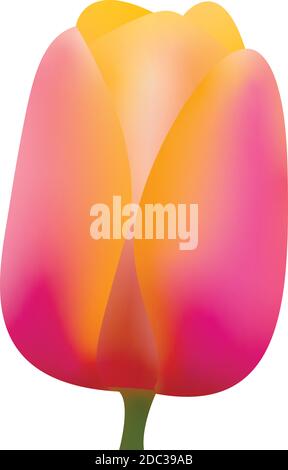 Vector - 3d illustration of a tulip. Gradient Stock Vector