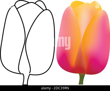 Vector - 3d and line illustration of a tulip. Gradient Stock Vector
