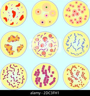stylized image of different types of bacteria under microscope Stock ...