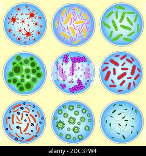 stylized image of colored bacteria in a petri dish Stock Vector