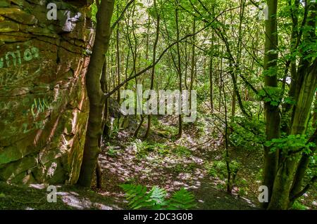 Small sandstone quarry with graffiti in Ockley Bottom near to Droppingwell Road at Kimberworth, near Rotherham. Stock Photo