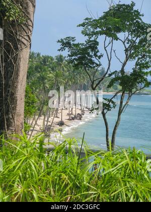 A view of the Beach with coconut trees and white sand at Port Blair in Andaman and Nicobar Islands Stock Photo