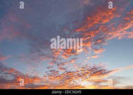 Afterglow, sky with altocumulus clouds Stock Photo