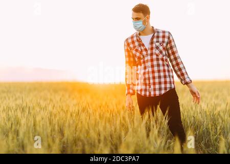 A young man in a checked shirt, with a medical protective mask on his face, stands in a wheat field against the setting sun Stock Photo