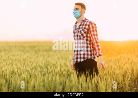 A young man in a checked shirt, with a medical protective mask on his face, stands in a wheat field against the setting sun Stock Photo