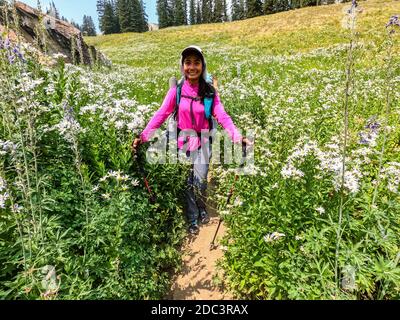 Hiking through wildflowers on the Teton Crest Trail, Grand Teton National Park, Wyoming, USA Stock Photo