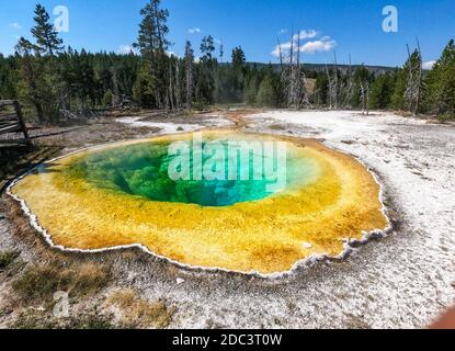 Morning Glory Spring, Upper Geyser Basin, Yellowstone National Park, Wyoming, USA Stock Photo