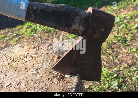 A vintage ax with white handle stuck in stump Stock Photo