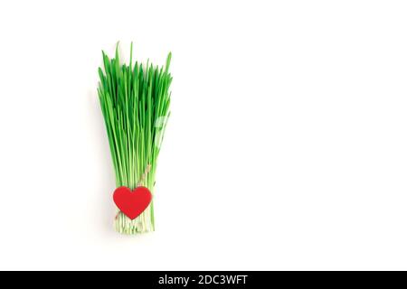 Bouquet of wheat grass and red heart on a light background. Stock Photo