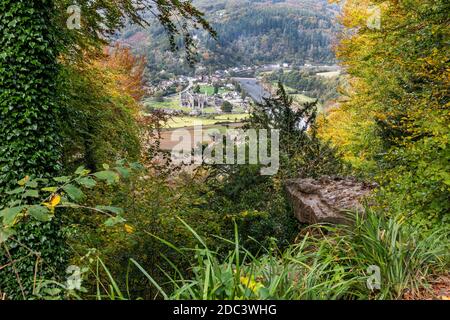 Looking down on Tintern Abbey in the Wye Valley from the Devil's Pulpit on Shorn Cliff, Tidenham Chase, Gloucestershire UK Stock Photo